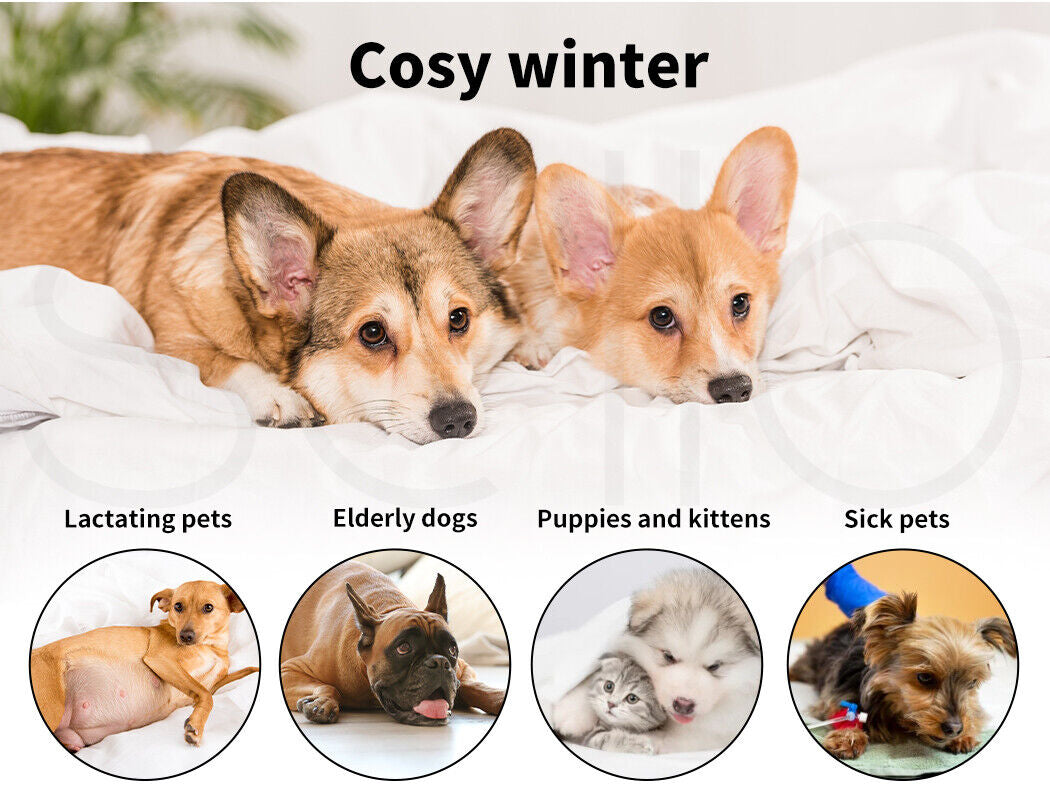 Pawz Electric Pet Heater Bed Heated Mat Dog Heat Blanket Removable Cover Large