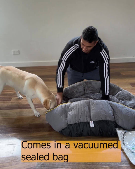 Pawz Electric Pet Heater Bed Heated Mat Dog Heat Blanket Removable Cover Large
