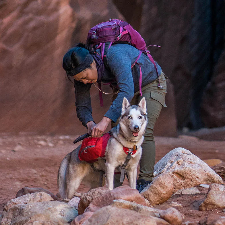 Dog Backpack Harness