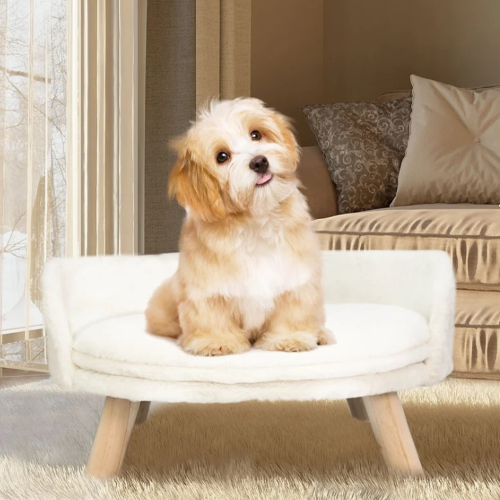 Plush Luxury Cat Bed with Cozy Cushion Pad