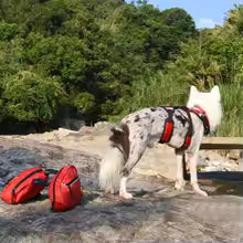 Dog Backpack Harness